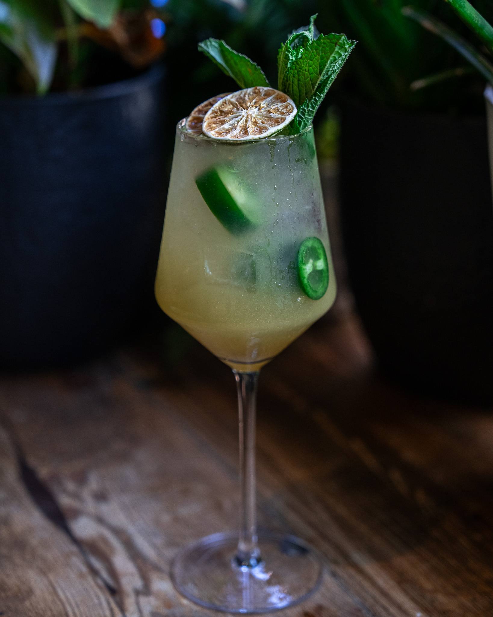 A pale golden spritz with jalapeño slices, dried lime and a mint sprig in a stemmed glass.