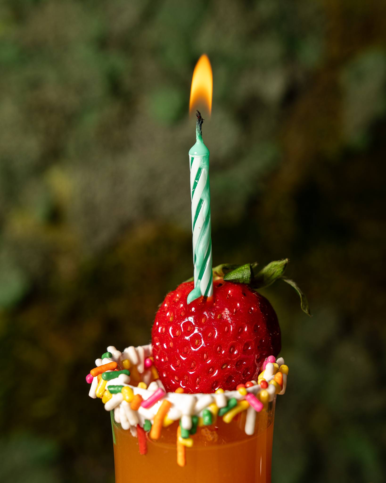 Close-up of a birthday shot: a rainbow-sprinkle rim, a whole strawberry and a lit green-striped candle.