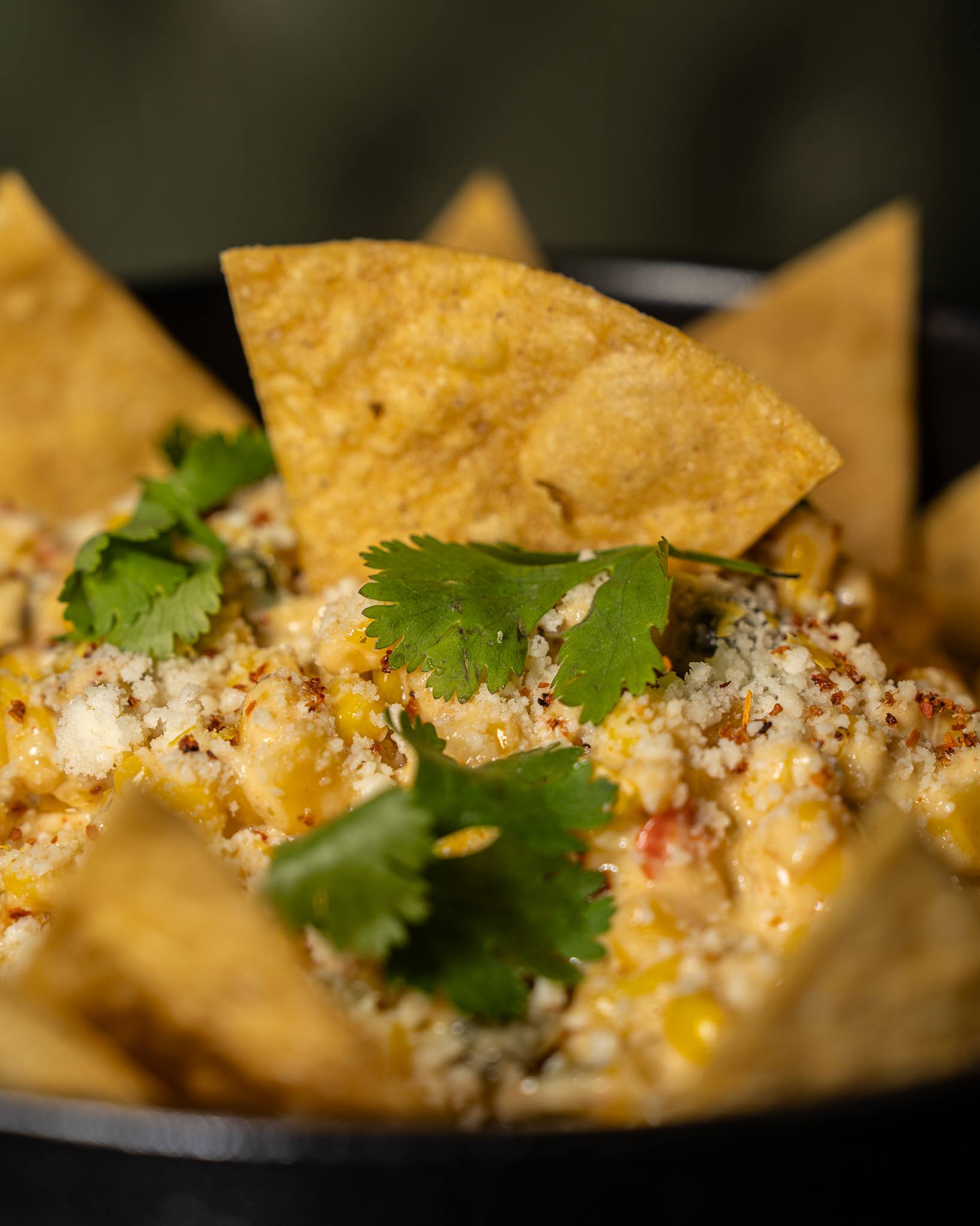 Close-up of a creamy street-corn dip topped with cotija, chili and cilantro, ringed with tortilla chips.